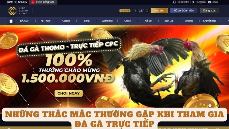 Những Thắc Mắc Thường Gặp Khi Tham Gia Đá Gà Trực Tiếp