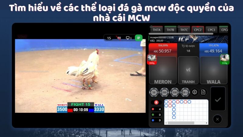 Tìm hiểu về các thể loại đá gà mcw độc quyền của nhà cái MCW