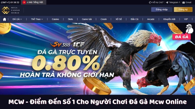 Vì sao MCW là điểm đến số 1 cho người chơi đá gà mcw online?